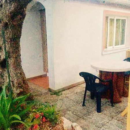 Olive Tree Apartments ロヴィニ エクステリア 写真
